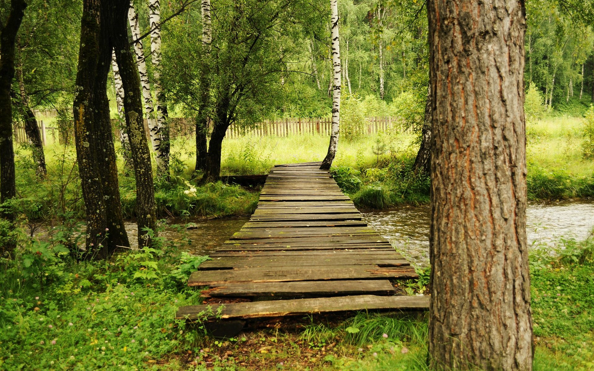 Image by Larisa Koshkina from Pixabay 