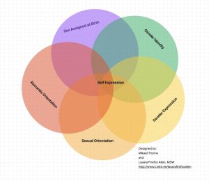 self expression venn diagram self expression venn diagram